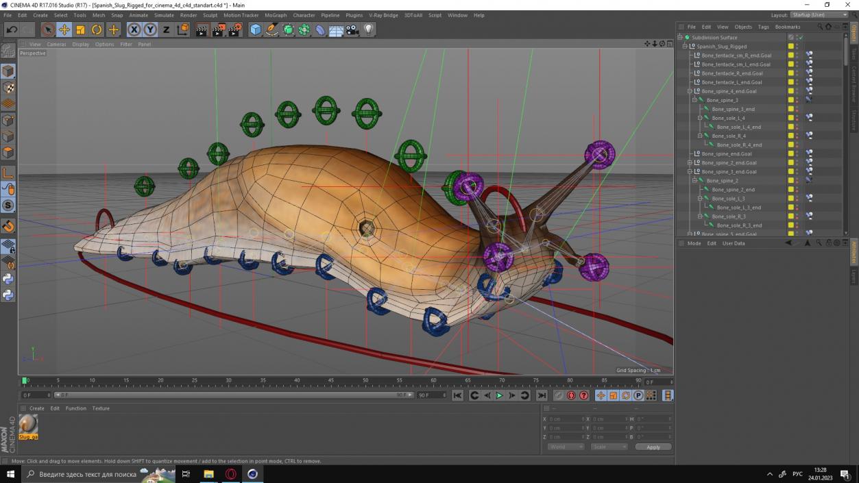 3D Spanish Slug Rigged for Cinema 4D model