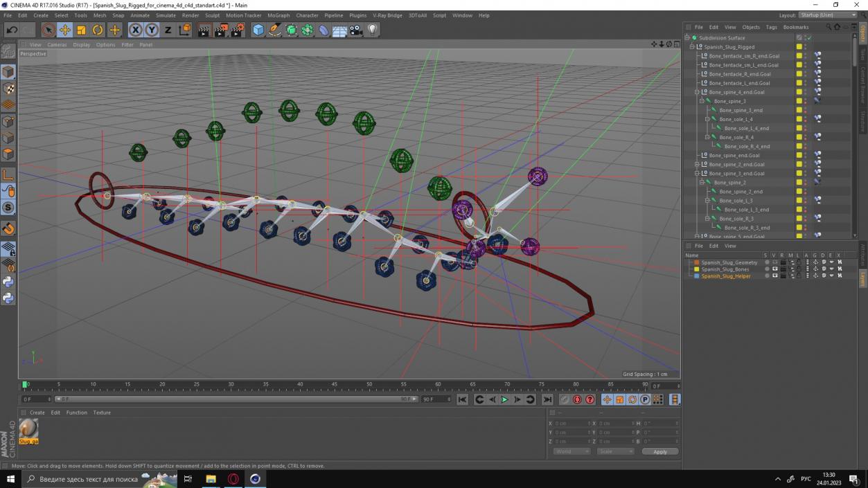 3D Spanish Slug Rigged for Cinema 4D model