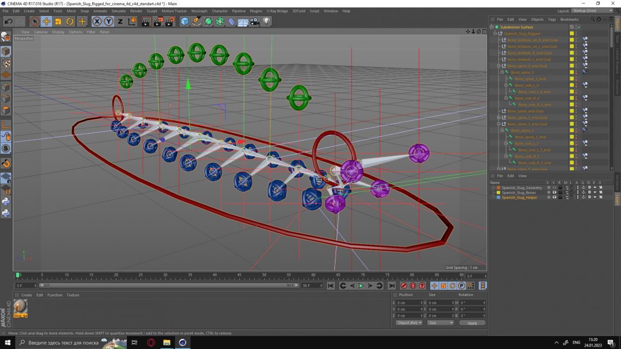 3D Spanish Slug Rigged for Cinema 4D model