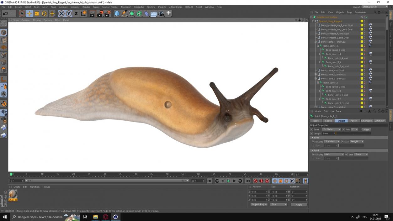 3D Spanish Slug Rigged for Cinema 4D model