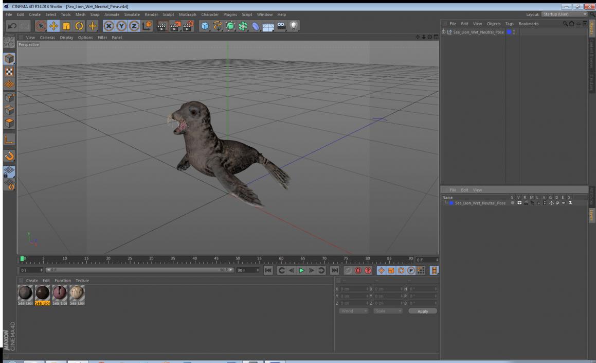 3D model Sea Lion Wet Neutral Pose