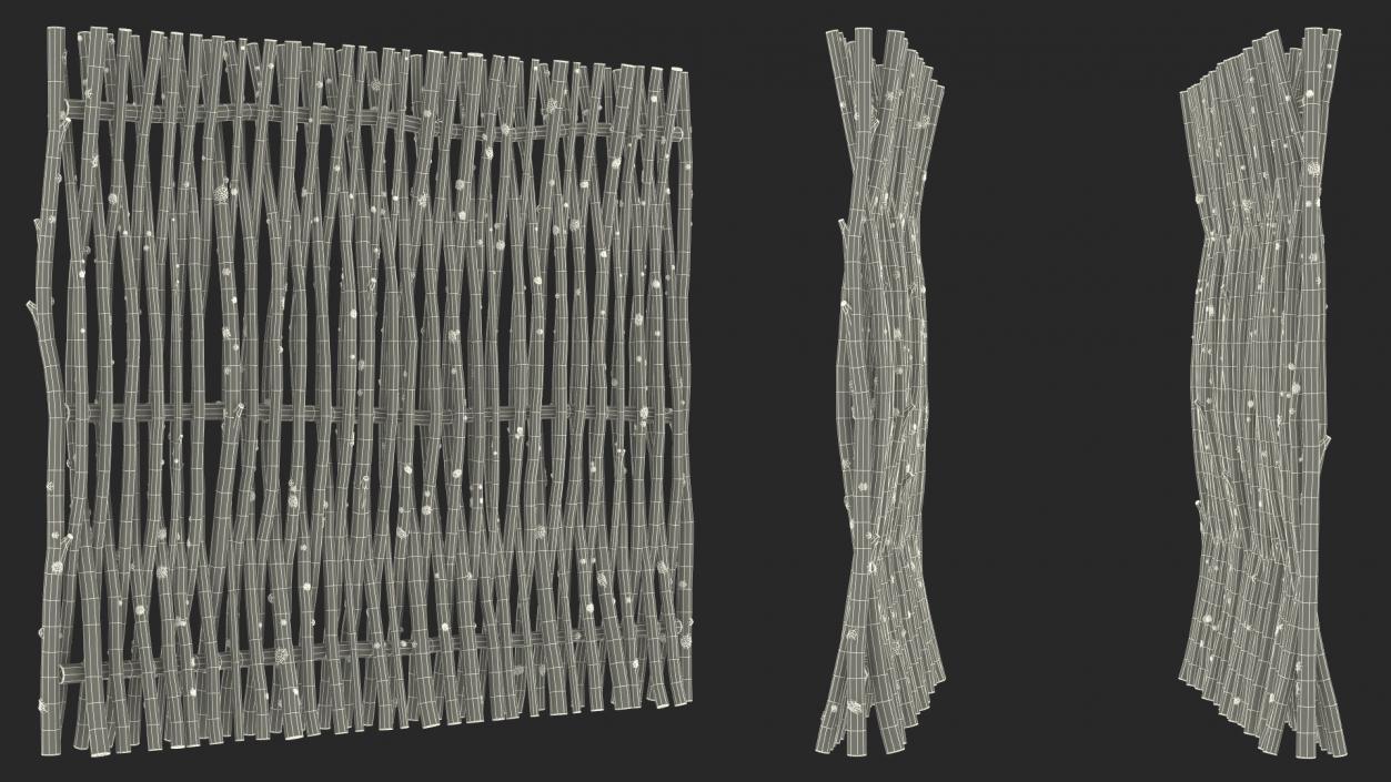 Small Wattle Fence Panel 3D model