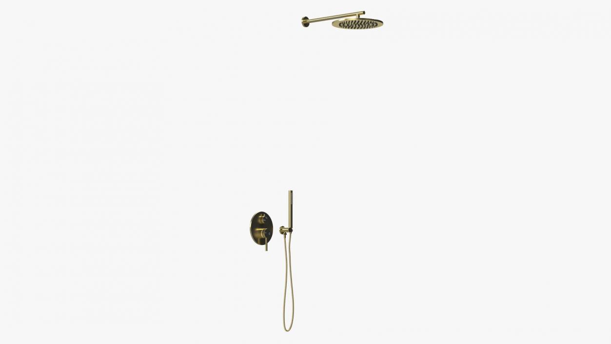 Wall Mount Hand Held Shower Gold 3D