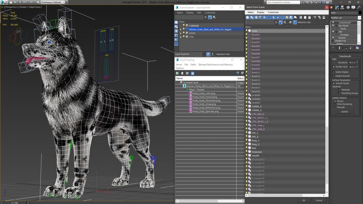 3D Siberian Husky Black and White Fur Rigged