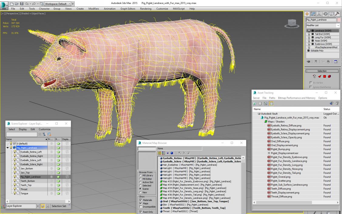 3D Pig Piglet Landrace with Fur model