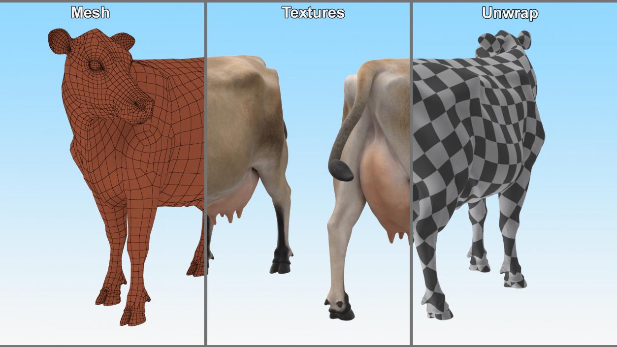 Channel Island Cow Beige 3D model