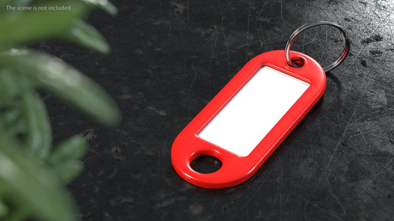 3D Plastic Key Tag with Split Ring