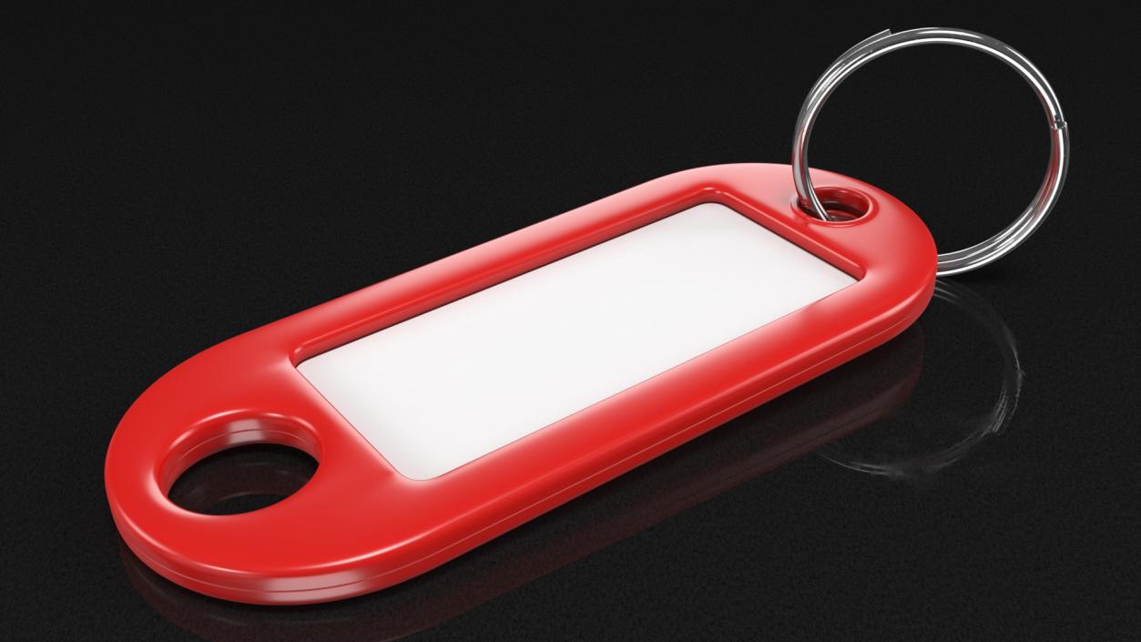 3D Plastic Key Tag with Split Ring