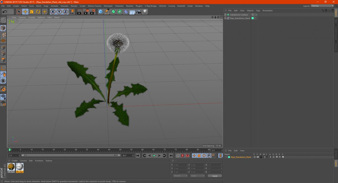 3D model Ripe Dandelion Plant