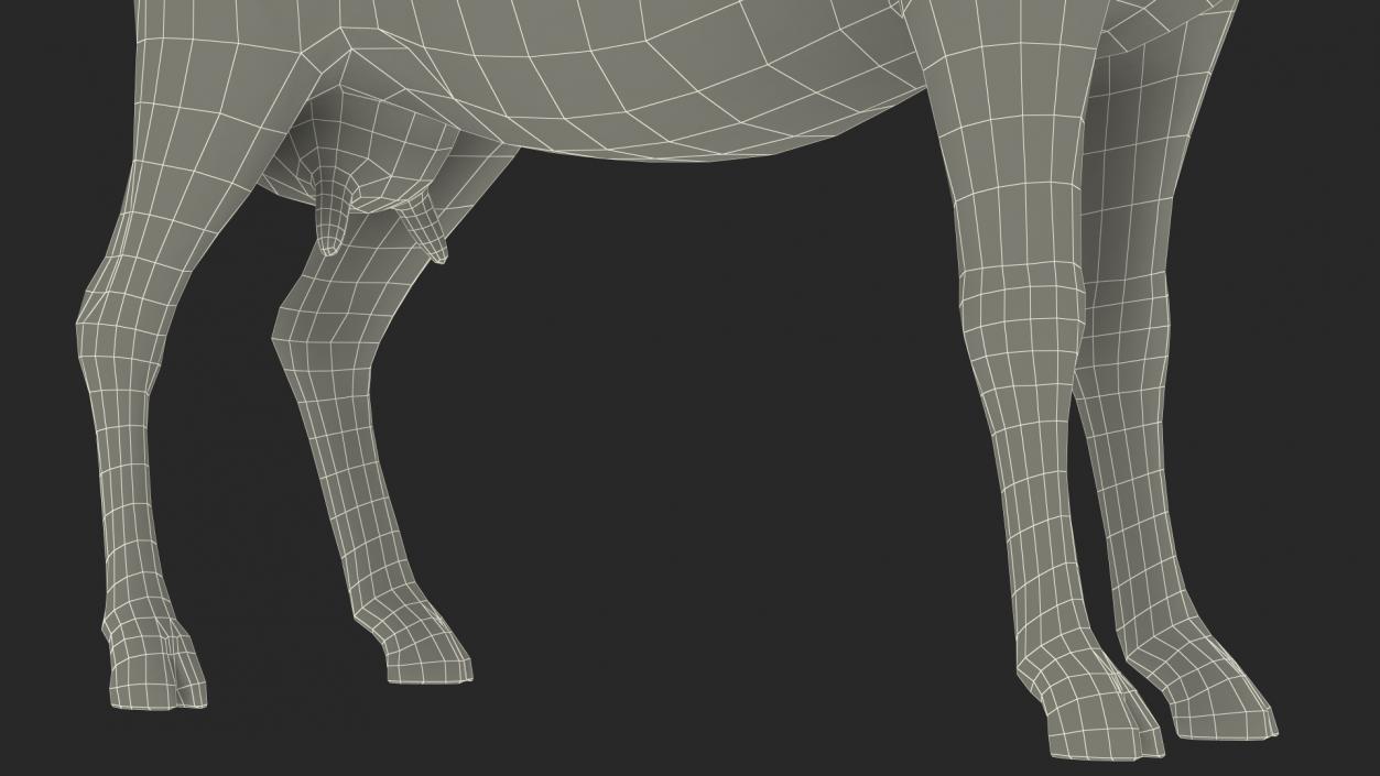 Dairy Goat Brown Rigged for Maya 3D