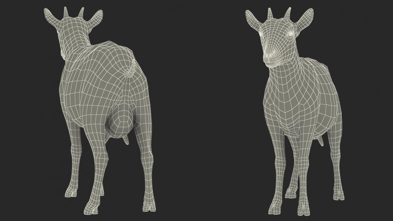 Dairy Goat Brown Rigged for Maya 3D