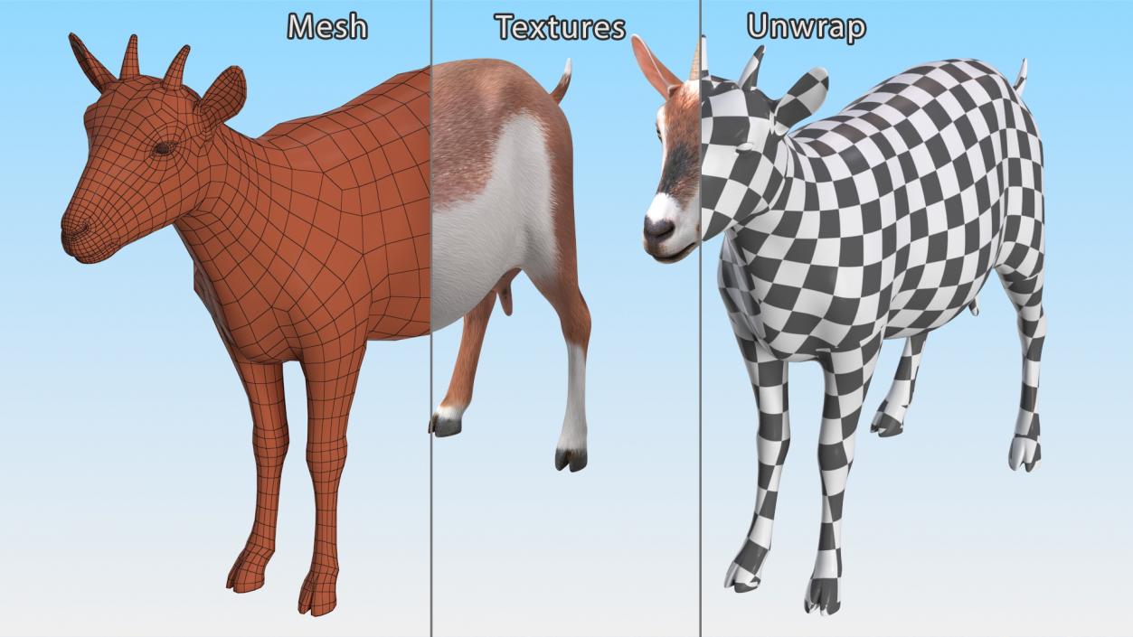 Dairy Goat Brown Rigged for Maya 3D