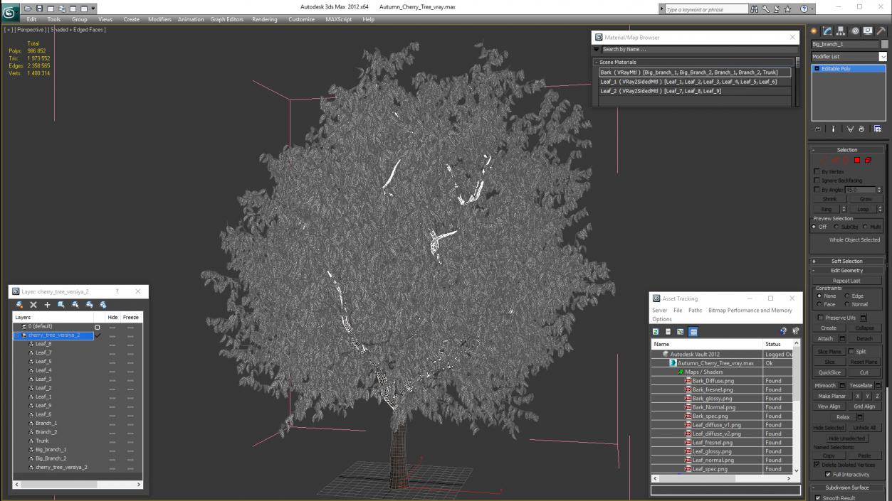 3D Autumn Cherry Tree model