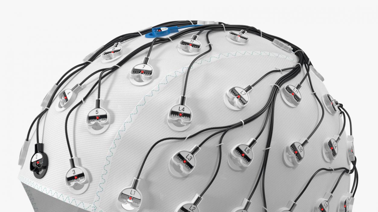 Electroencephalography EEG Equipment Collection 3D