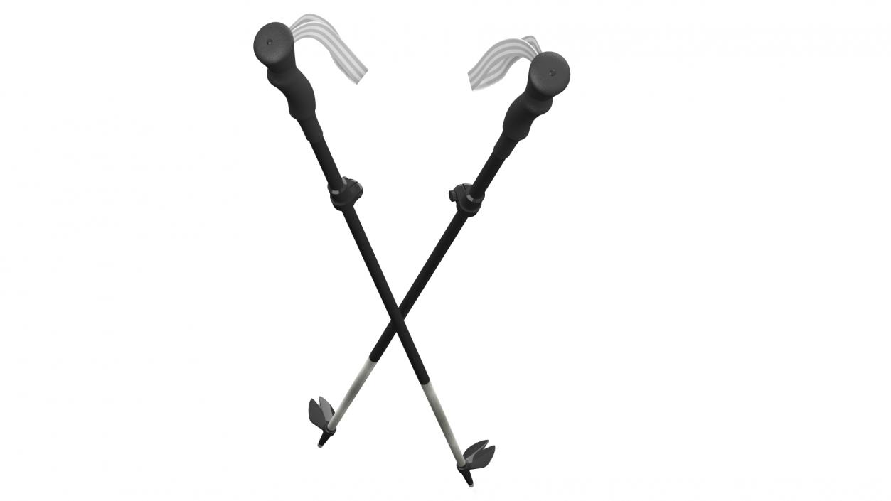 3D model Adjustable Trekking Poles