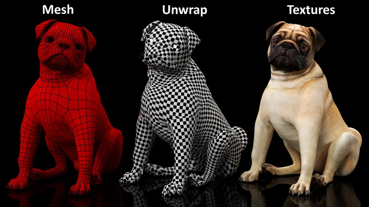 3D model Pug Dog Sitting Pose