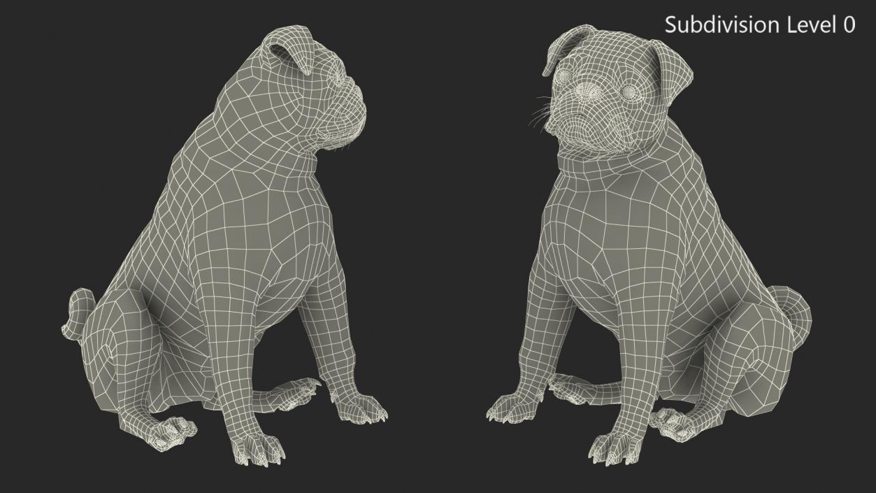 3D model Pug Dog Sitting Pose