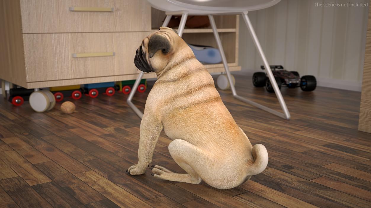 3D model Pug Dog Sitting Pose