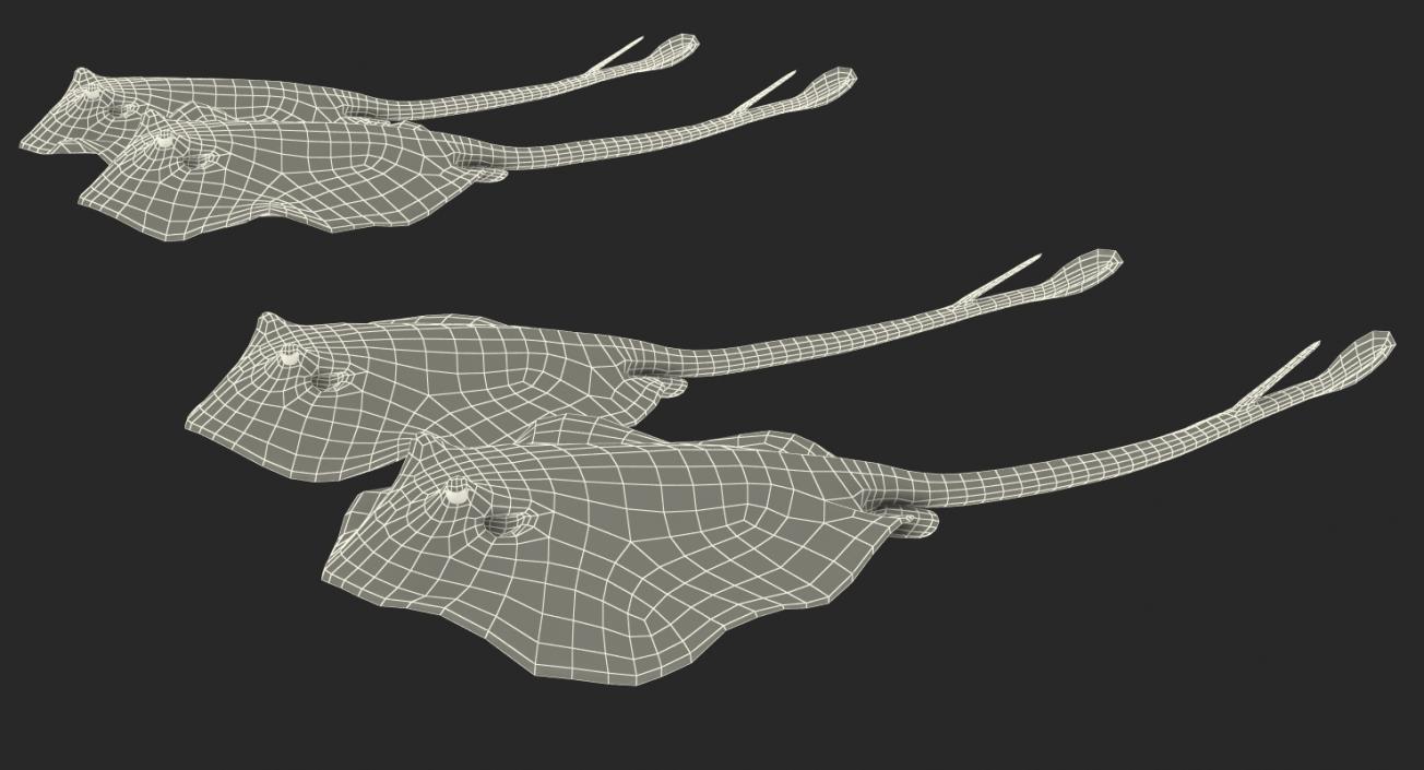 3D Stingray Rigged Collection