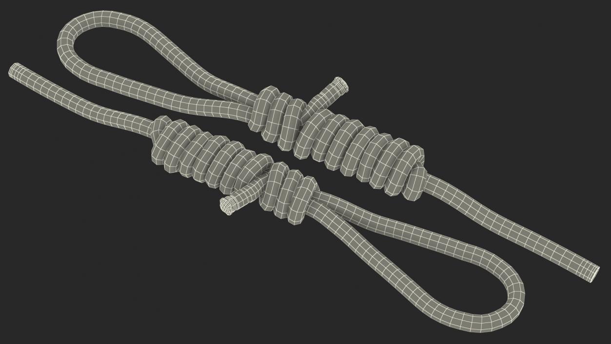 Bimini Twist Knot 3D