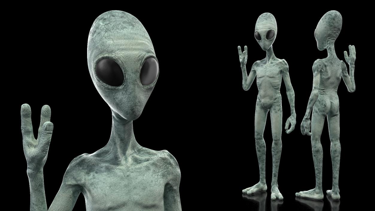 3D Extraterrestrial Alien Greeting Pose