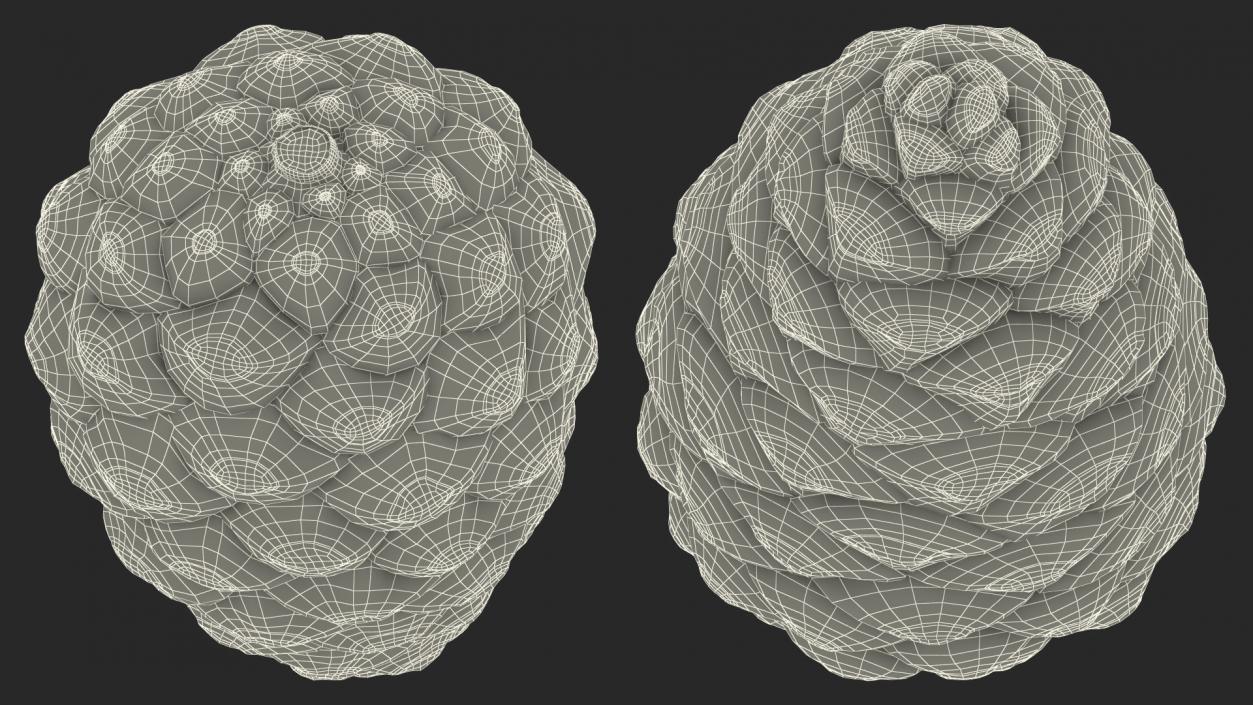 3D model Green Pine Cone