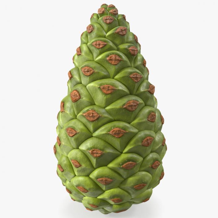 3D model Green Pine Cone