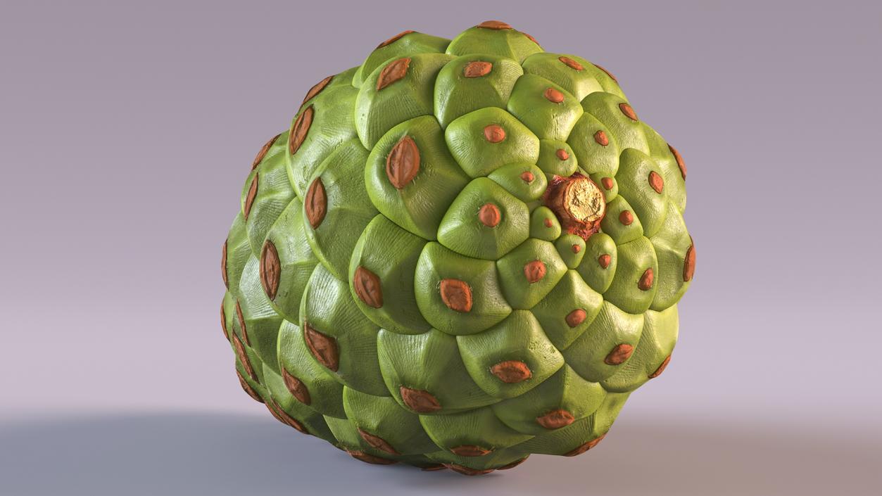 3D model Green Pine Cone