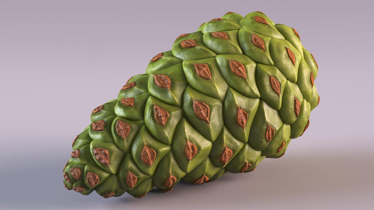 3D model Green Pine Cone