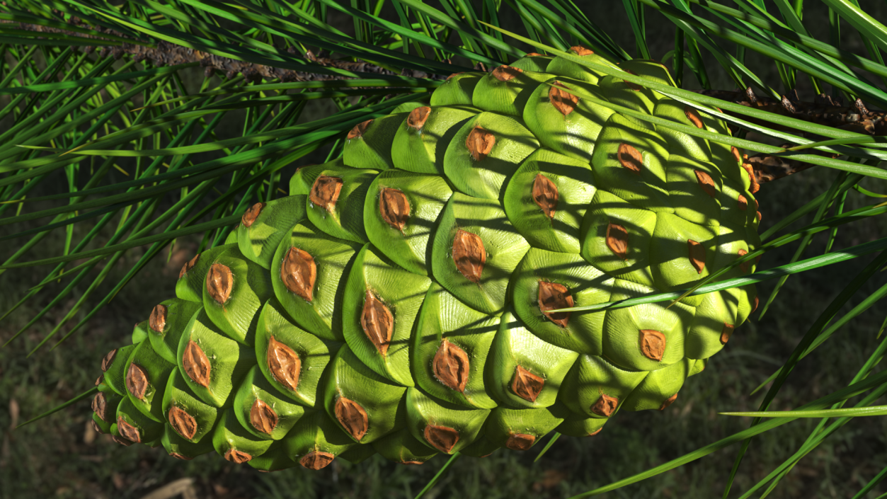 3D model Green Pine Cone