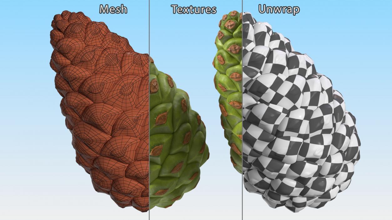 3D model Green Pine Cone