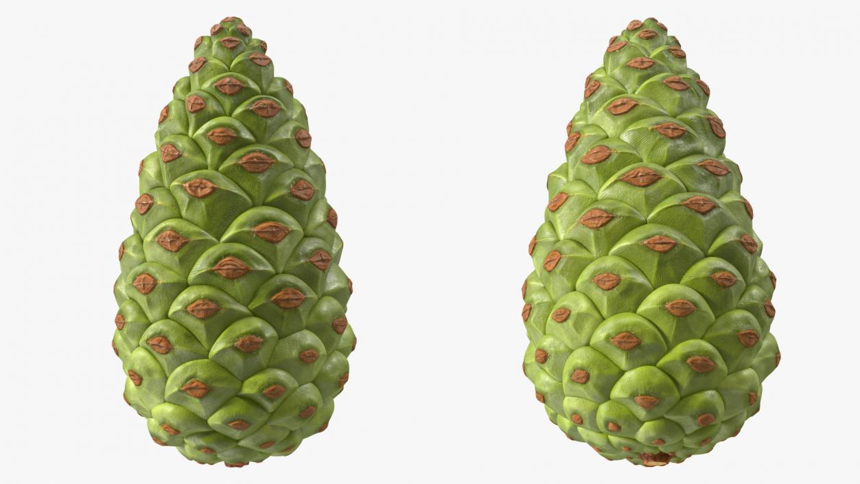 3D model Green Pine Cone