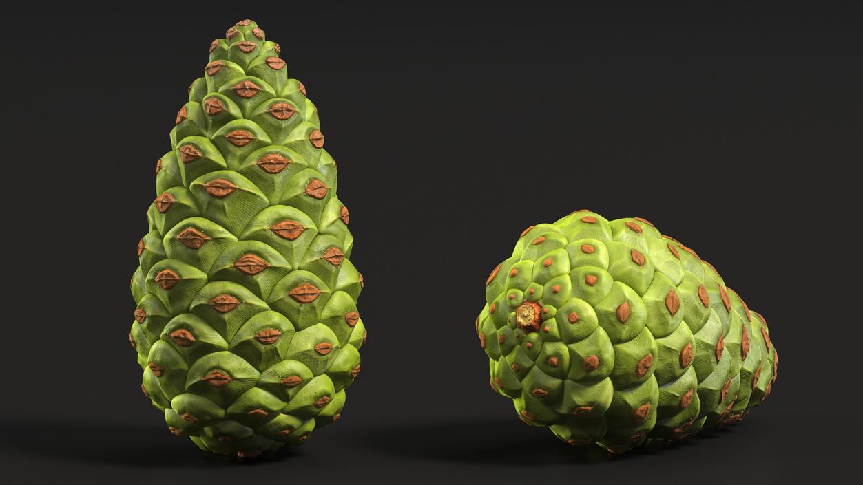 3D model Green Pine Cone