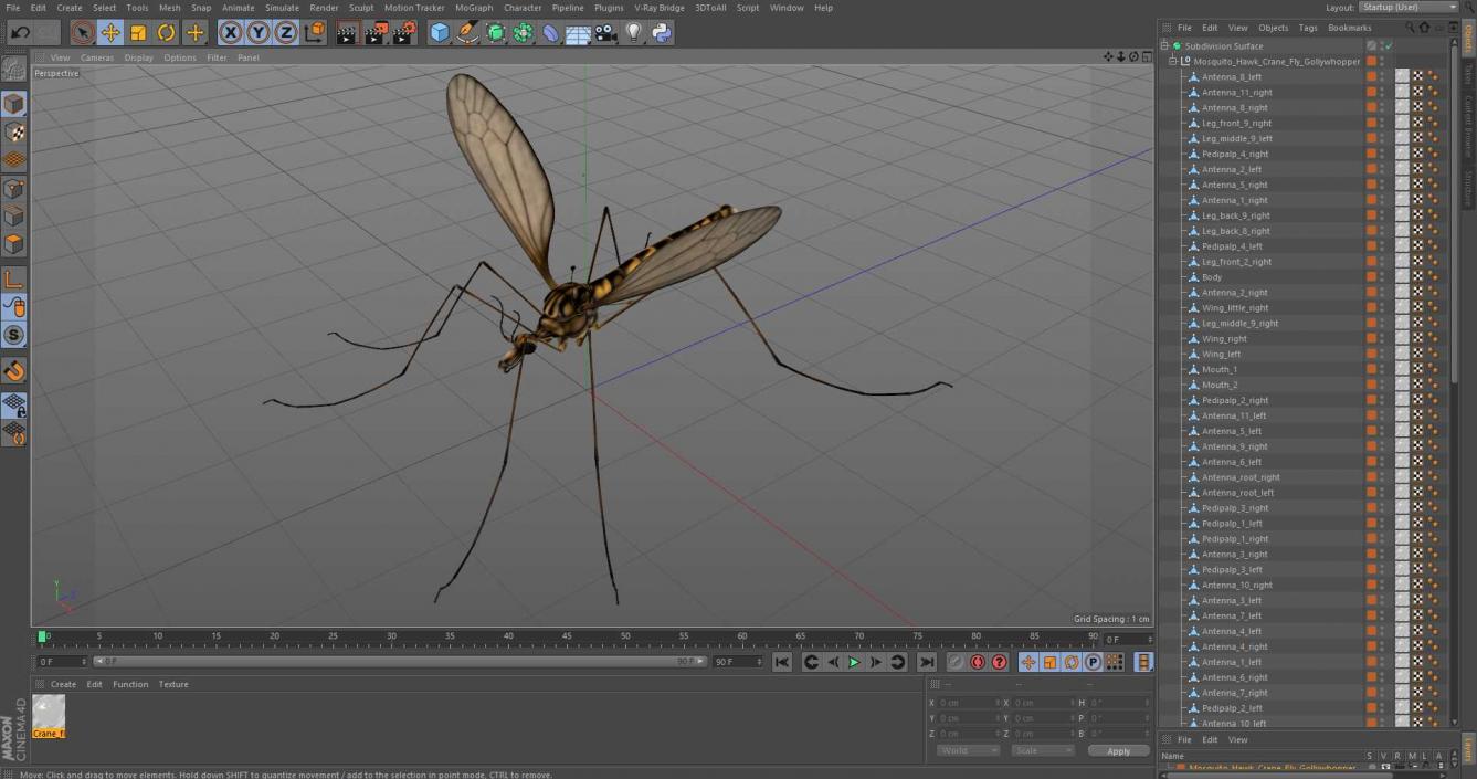 3D Mosquito Hawk Crane Fly Gollywhopper 2 model