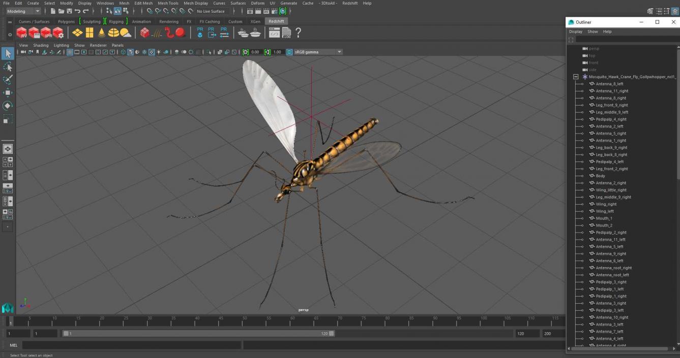 3D Mosquito Hawk Crane Fly Gollywhopper 2 model