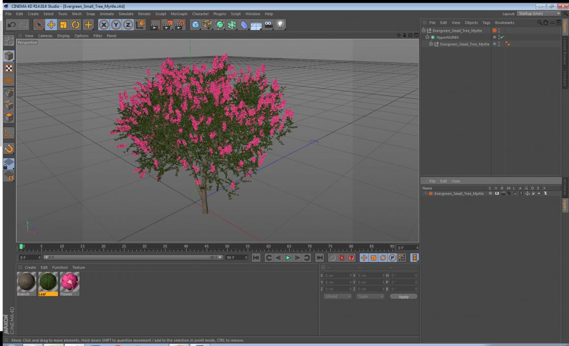 Evergreen Small Tree Myrtle 3D