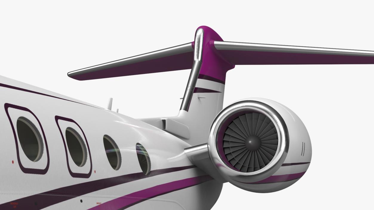 3D Large Business Jet model