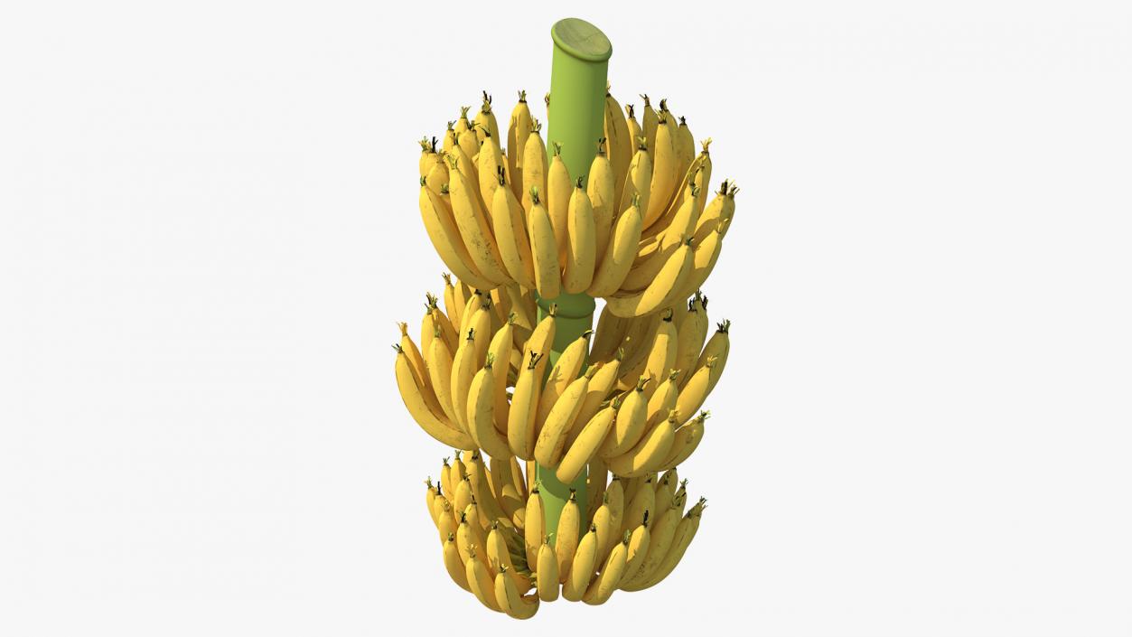 3D Ripe Yellow Banana Cluster