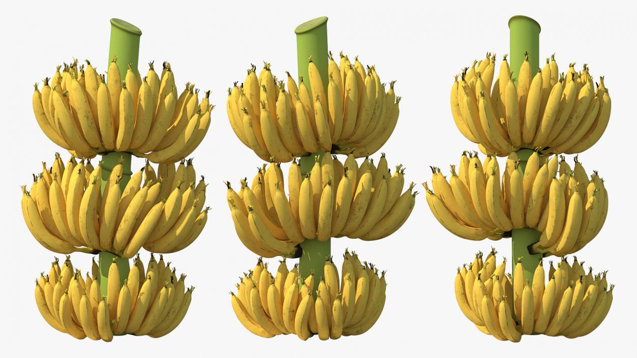 3D Ripe Yellow Banana Cluster