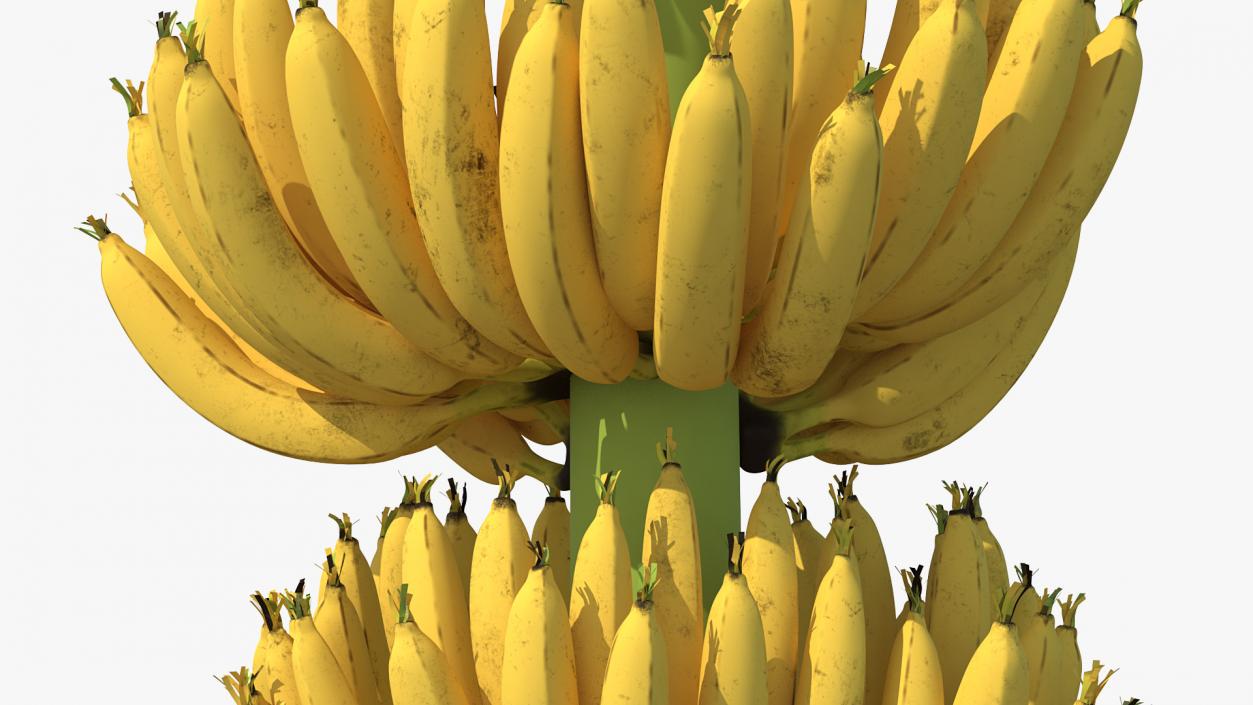 3D Ripe Yellow Banana Cluster