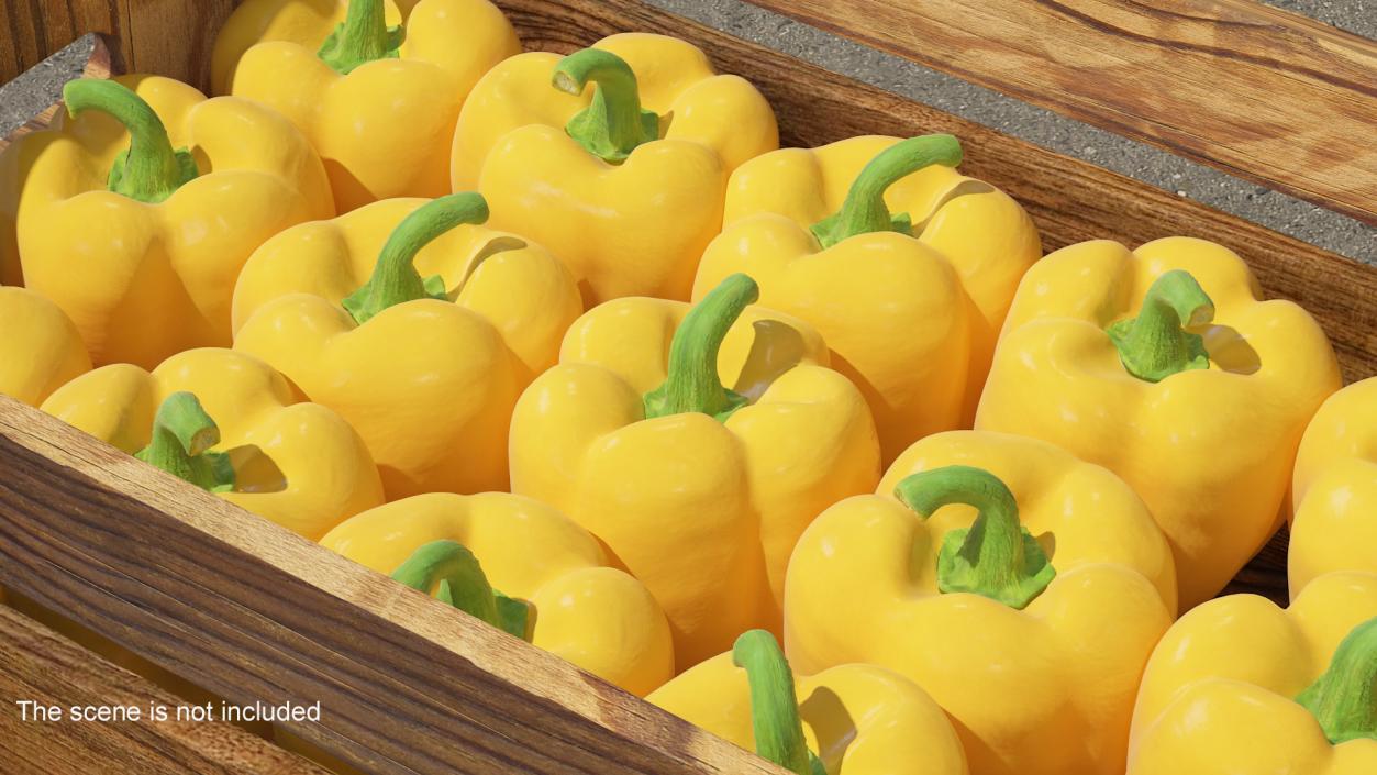 Sweet Bell Pepper Yellow 3D model