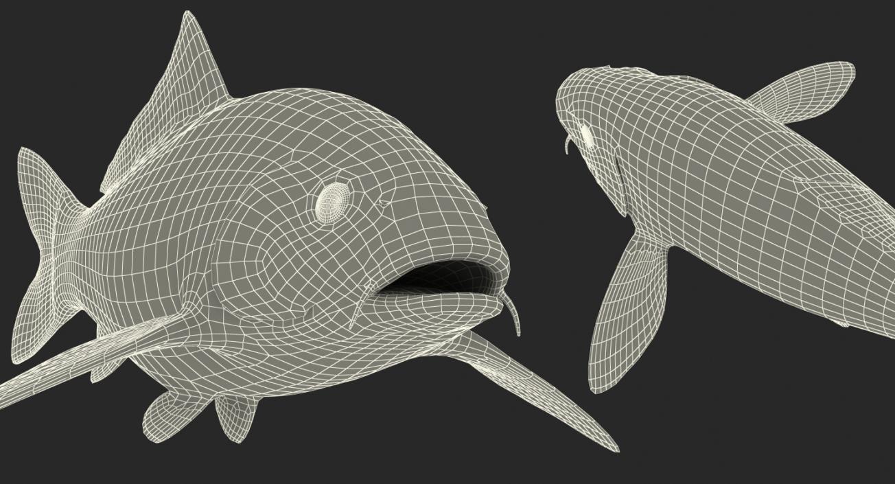 3D model Koi Fish Rigged