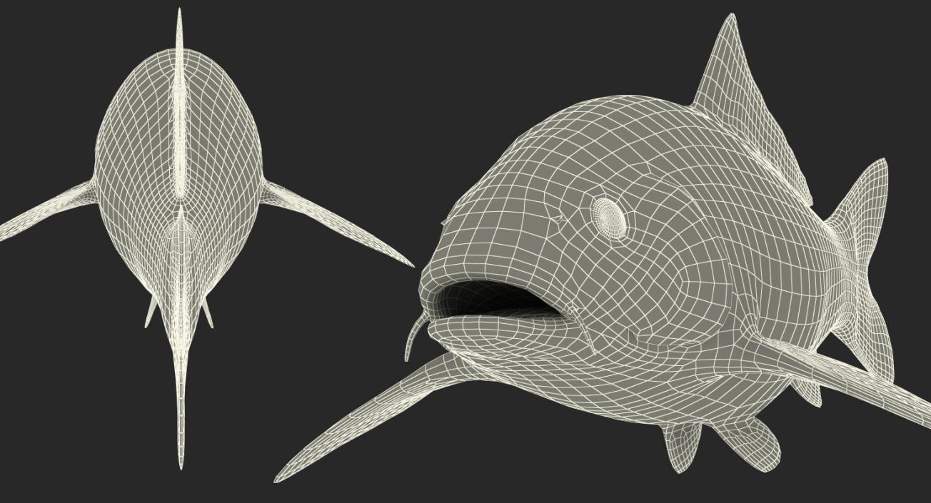 3D model Koi Fish Rigged