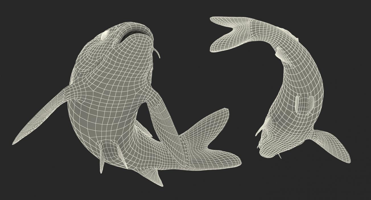 3D model Koi Fish Rigged