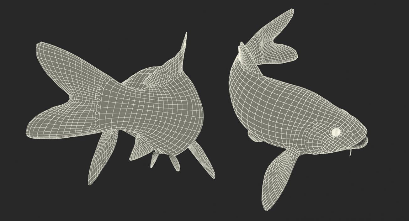 3D model Koi Fish Rigged