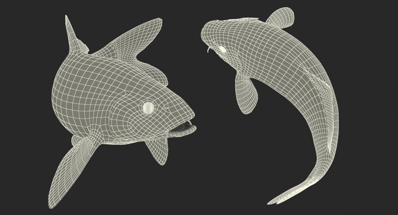 3D model Koi Fish Rigged