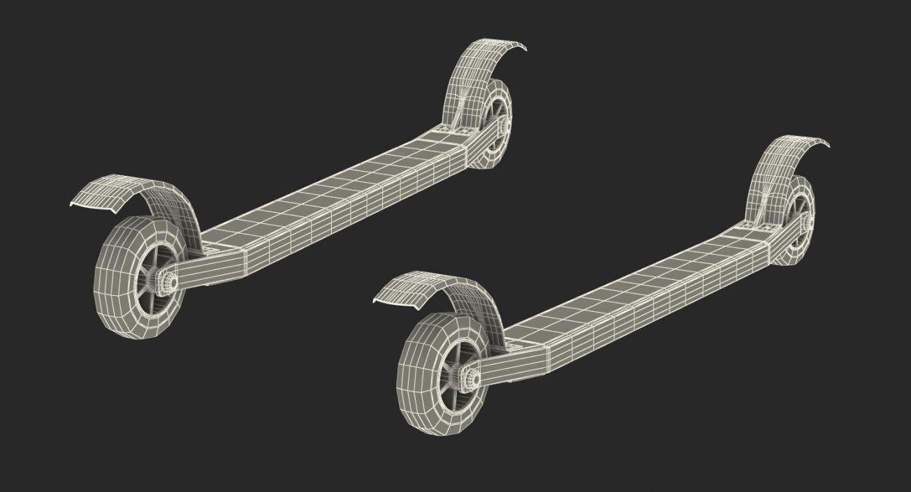 Skate Roller Skis 3D