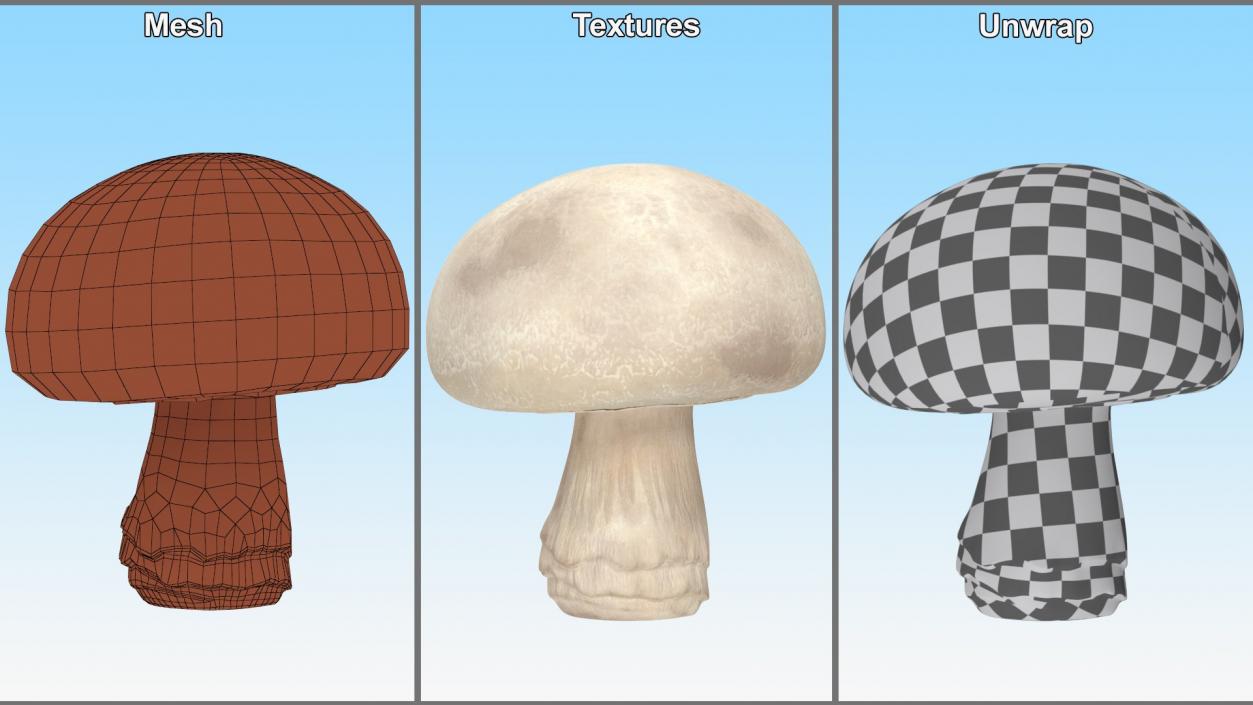 Edible Mushrooms Collection 2 3D model