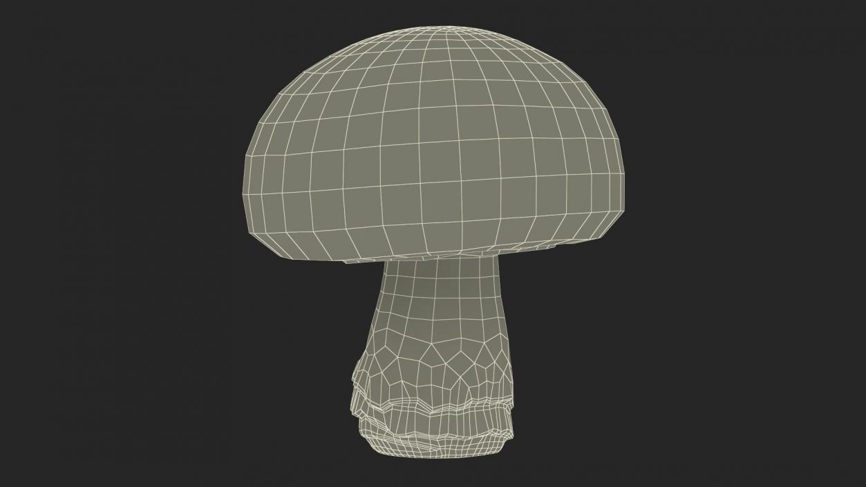 Edible Mushrooms Collection 2 3D model