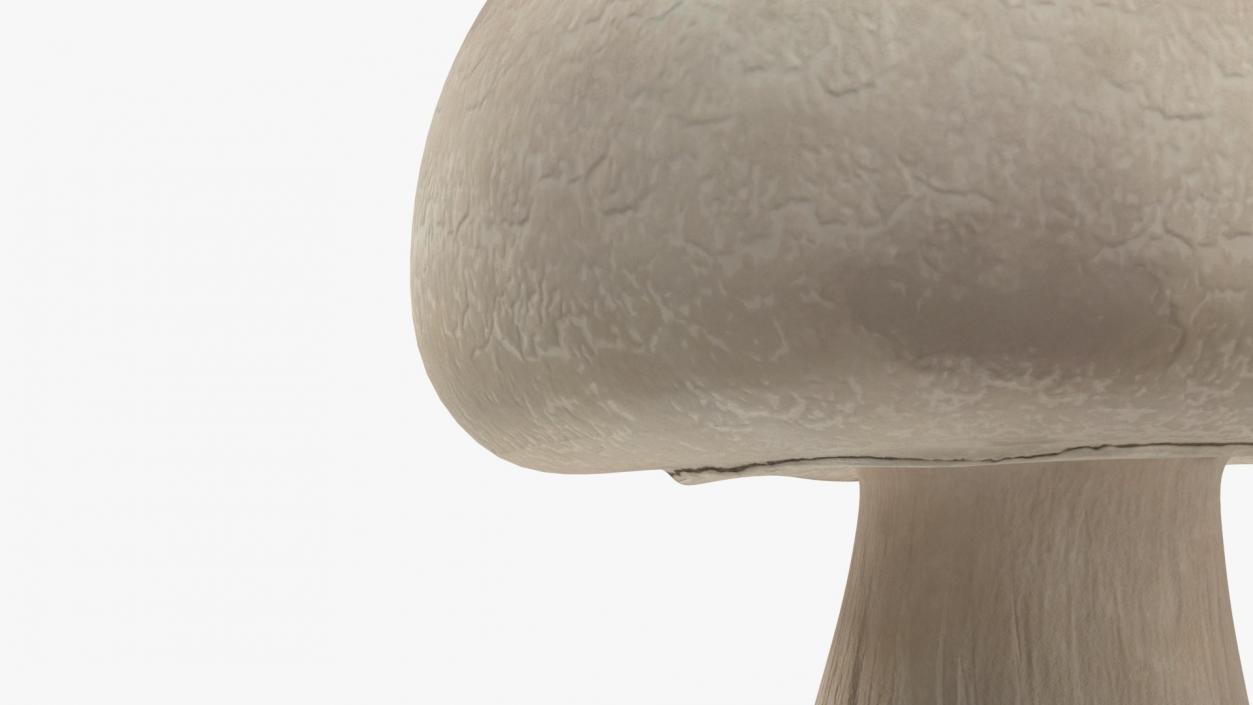 Edible Mushrooms Collection 2 3D model